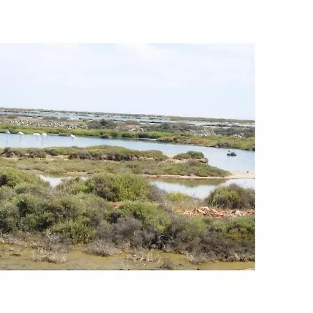 Calme, Vue Sur Port De Plaisance -clim, Empl.parking Apartment Gruissan