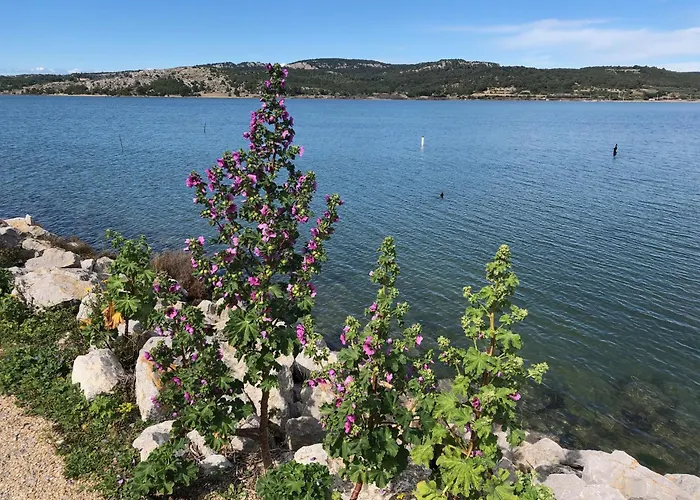 Calme, Vue Sur Port De Plaisance -clim, Empl.parking *